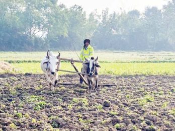 Gahu-Kisan-phooto
