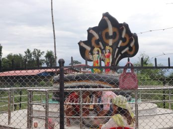 Nag Panchami (1)