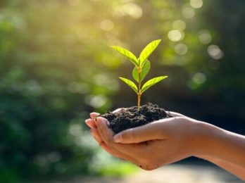 National_Earth_Conservation_Day_mBhiHZrDI4