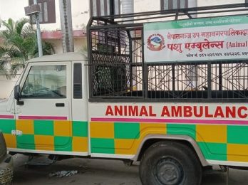 animal-ambulance_lNnR8Esand