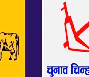 rpp2021-03-09-06-36-21